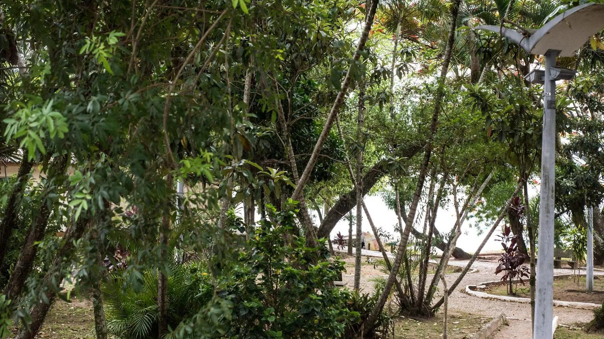 Apartmán Vista Mar Na Via Gastronomica Coqueiros Coq2 Florianópolis Brazílie